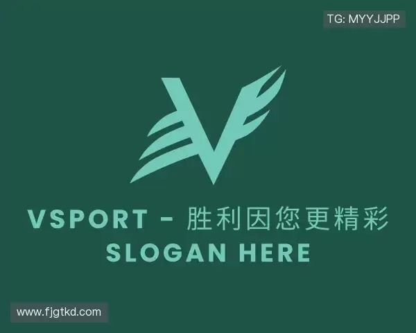 认识VSport